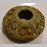 whorl