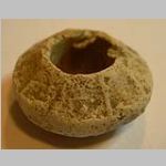 whorl