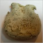 ampullae