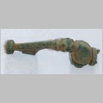 fibula