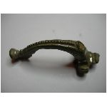 fibula