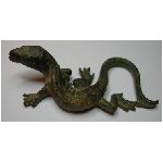 lizard